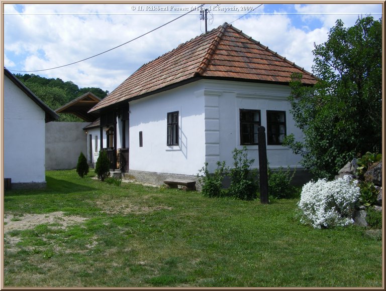 kep_ 118.jpg