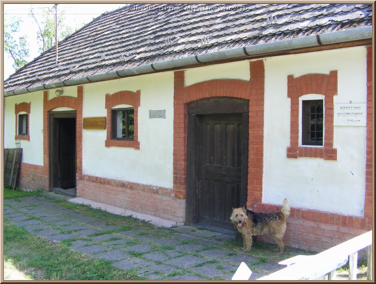 kep_ 174.jpg