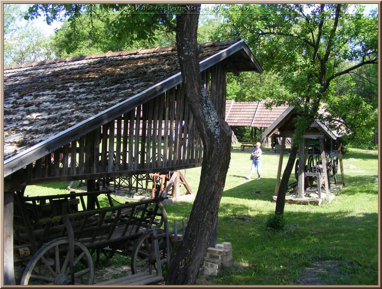 kep_ 201.jpg
