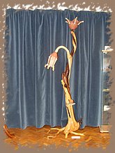 dscf4350.jpg