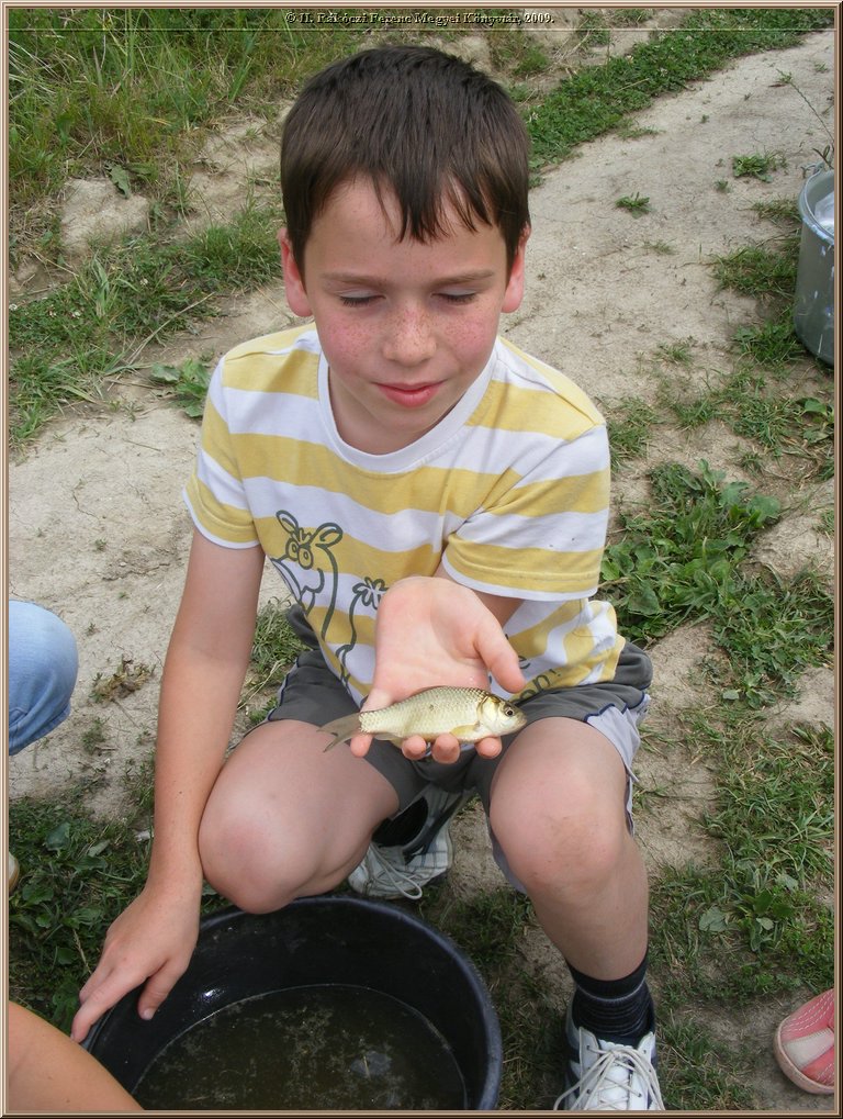 kep_ 383.jpg