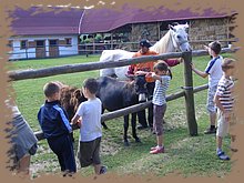 kep_ 149.jpg