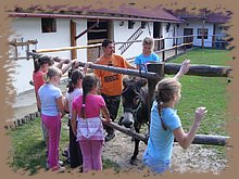 kep_ 150.jpg