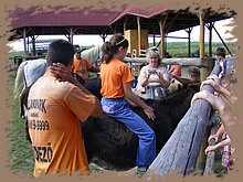 kep_ 152.jpg