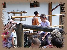 kep_ 156.jpg
