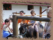 kep_ 161.jpg