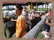 kep_ 165.jpg