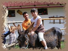 kep_ 169.jpg