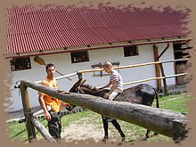 kep_ 172.jpg