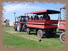 kep_ 187.jpg
