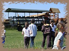 kep_ 190.jpg