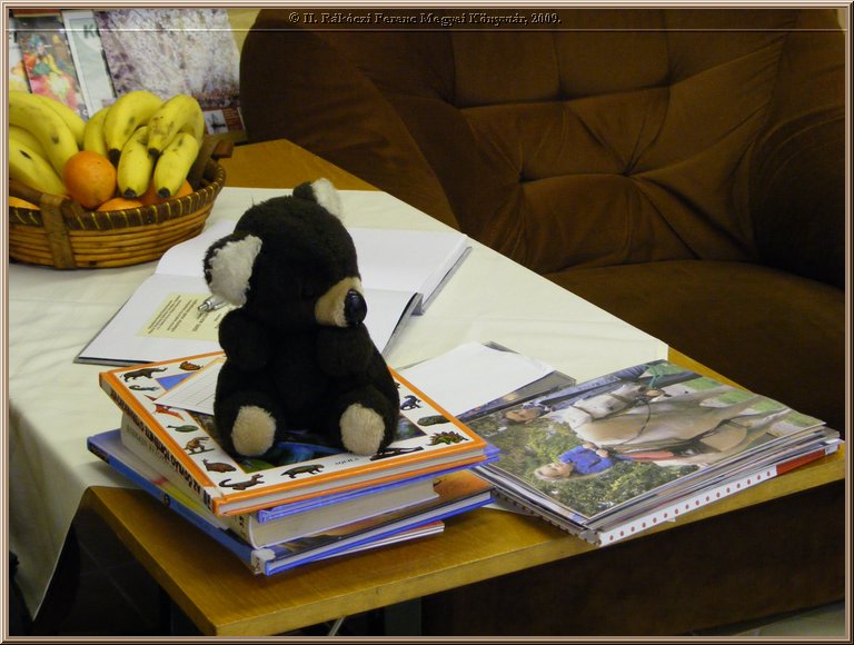 dscf3774.jpg
