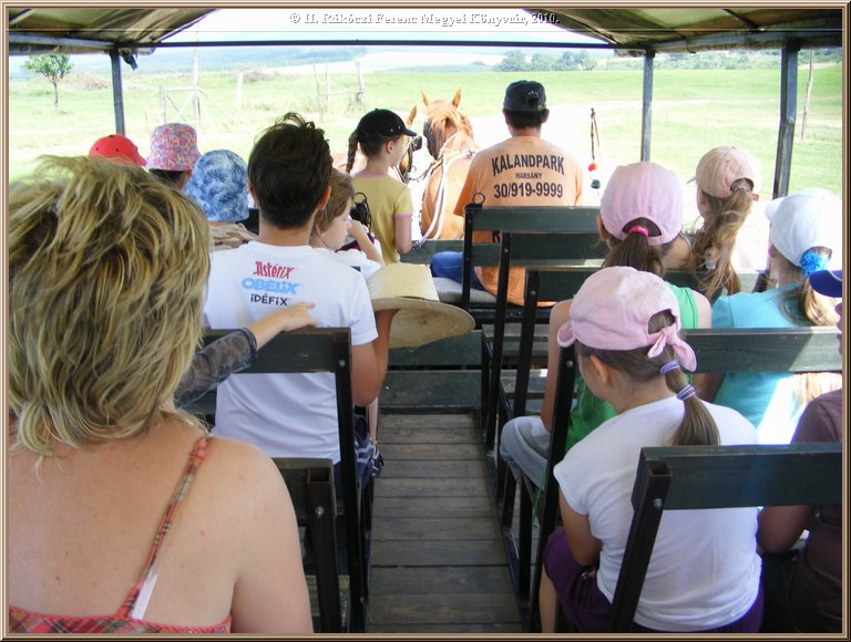 kep_ 220.jpg