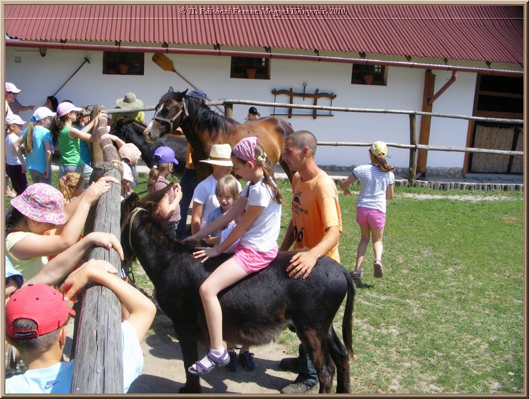 kep_ 270.jpg