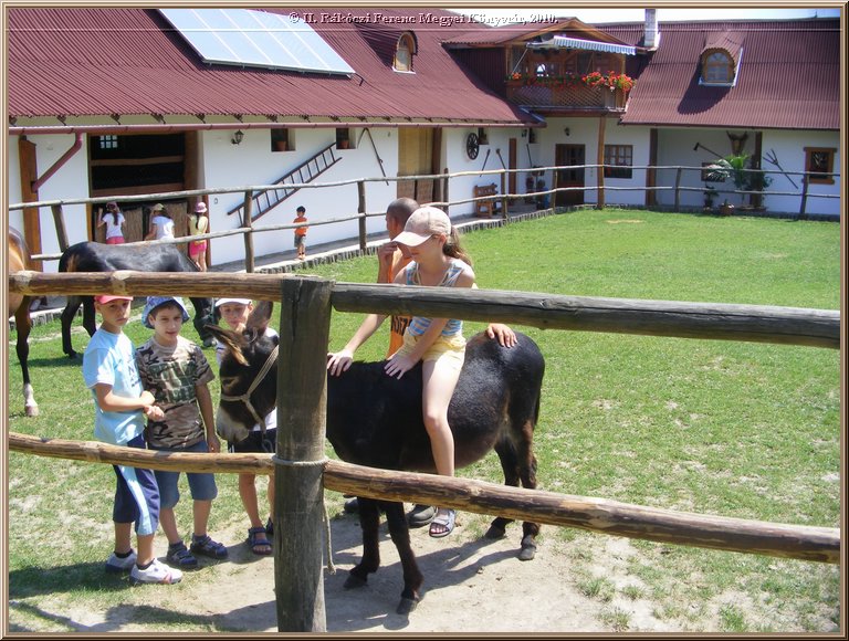 kep_ 278.jpg