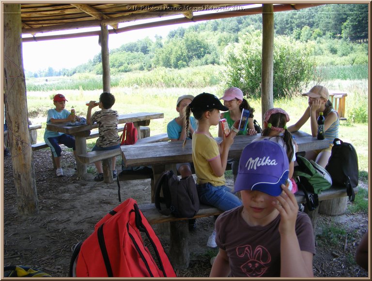 kep_ 295.jpg