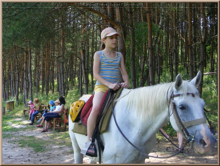 kep_ 337.jpg