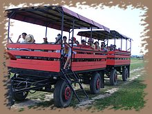 kep_ 123.jpg