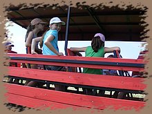 kep_ 148.jpg