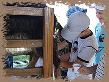 kep_ 290.jpg