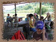 kep_ 295.jpg