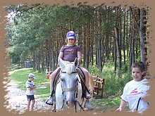 kep_ 314.jpg