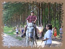 kep_ 329.jpg