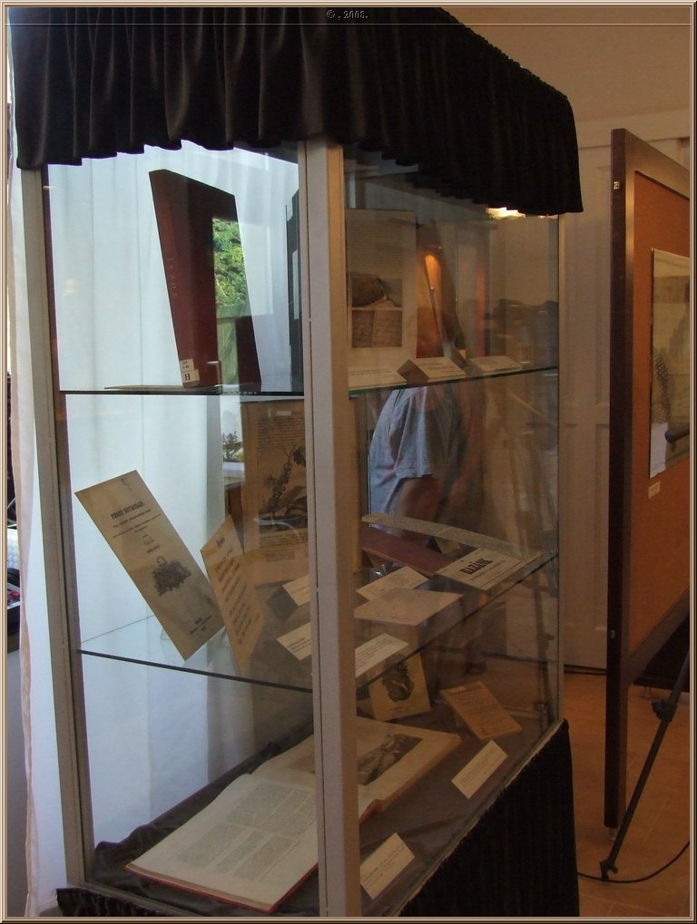 dscf9309.jpg