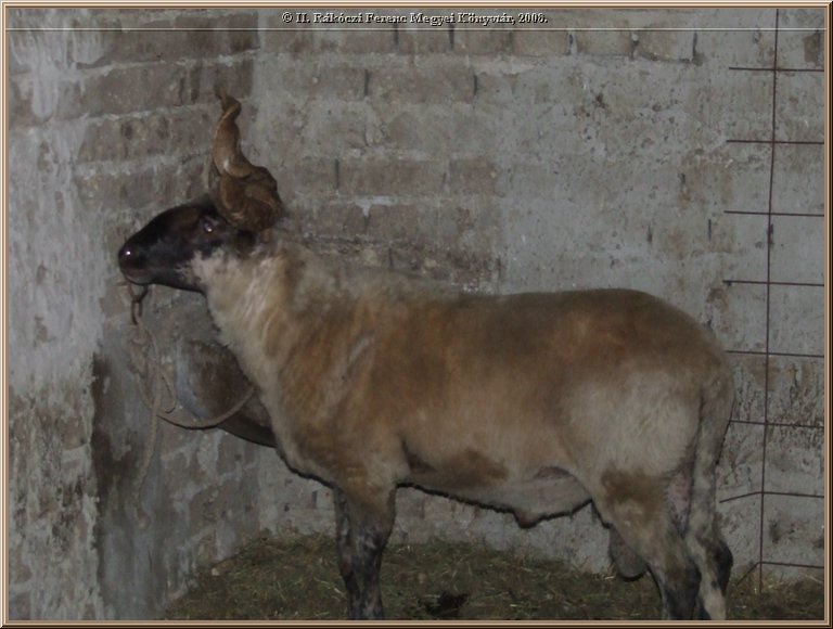 dscf8333.jpg