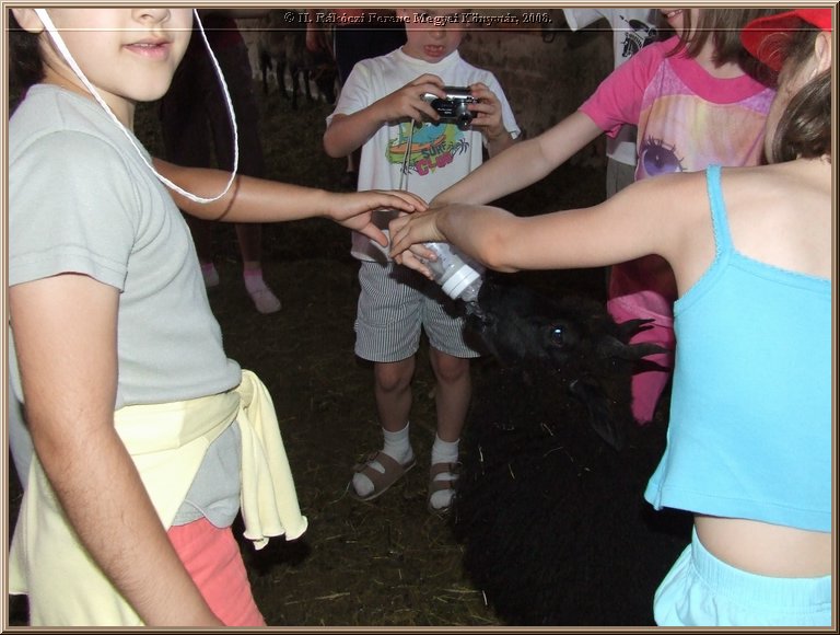 dscf8337.jpg