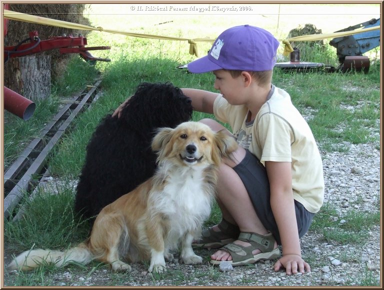 dscf8359.jpg