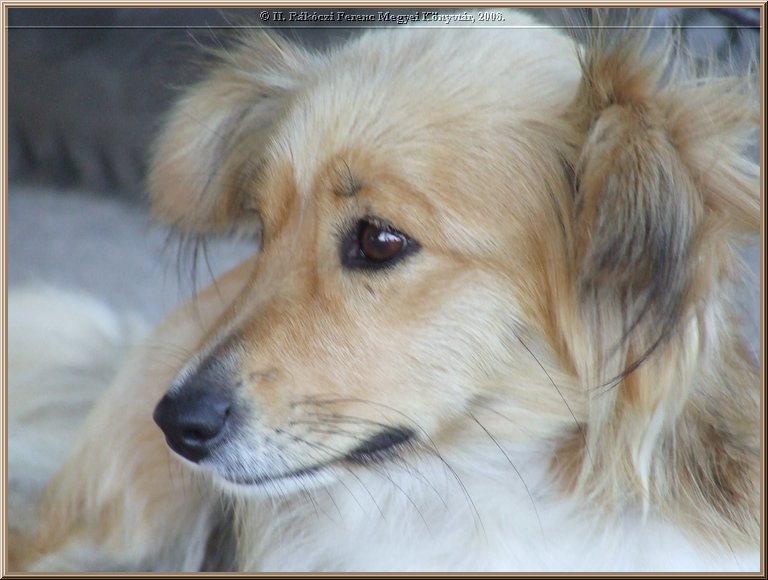 dscf8370.jpg