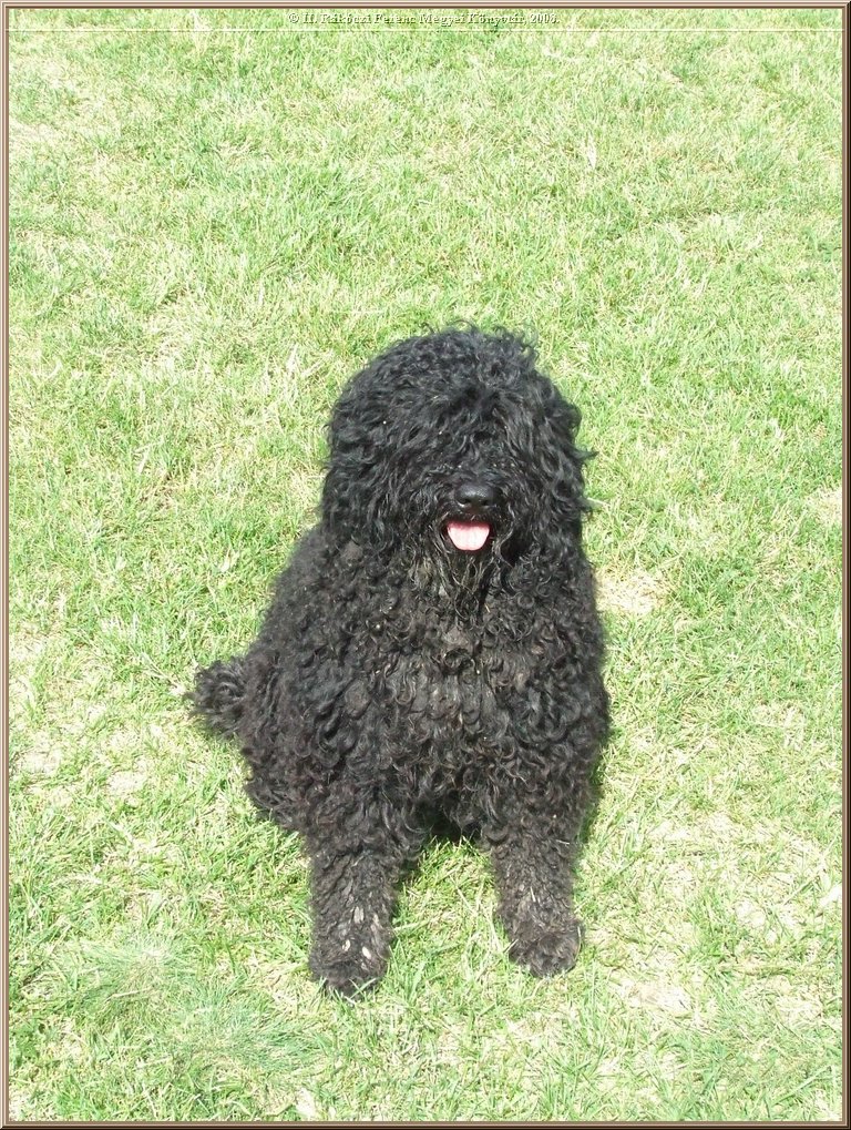 dscf8373.jpg