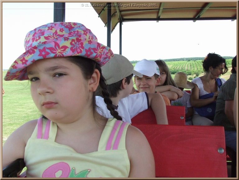 dscf8379.jpg