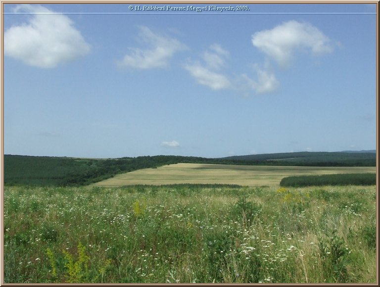 dscf8392.jpg
