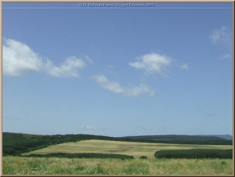 dscf8398.jpg