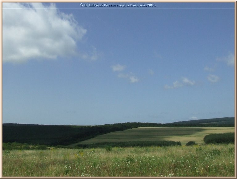 dscf8410.jpg