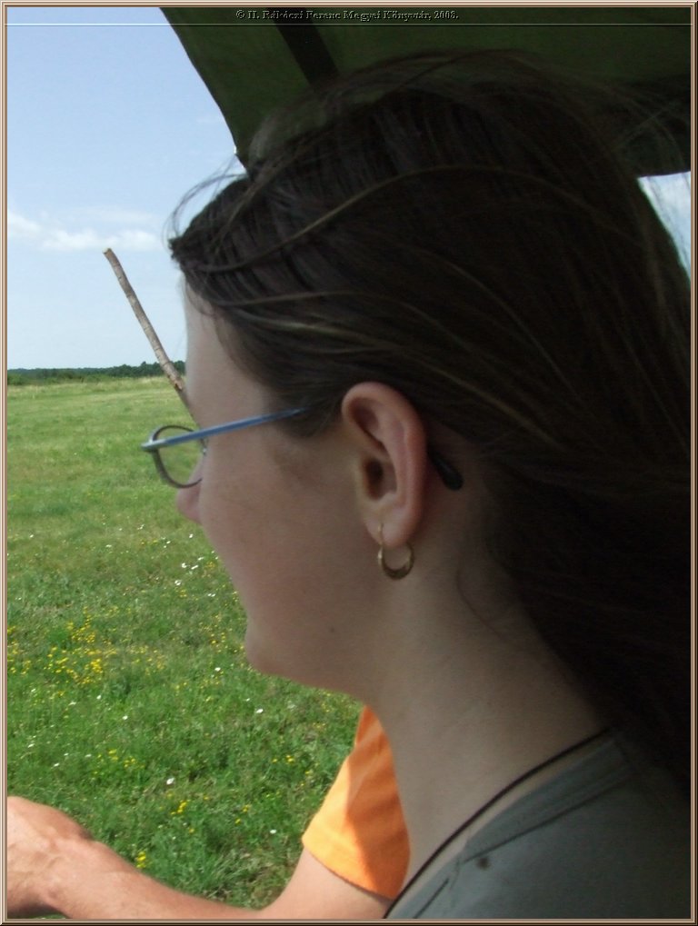 dscf8494.jpg