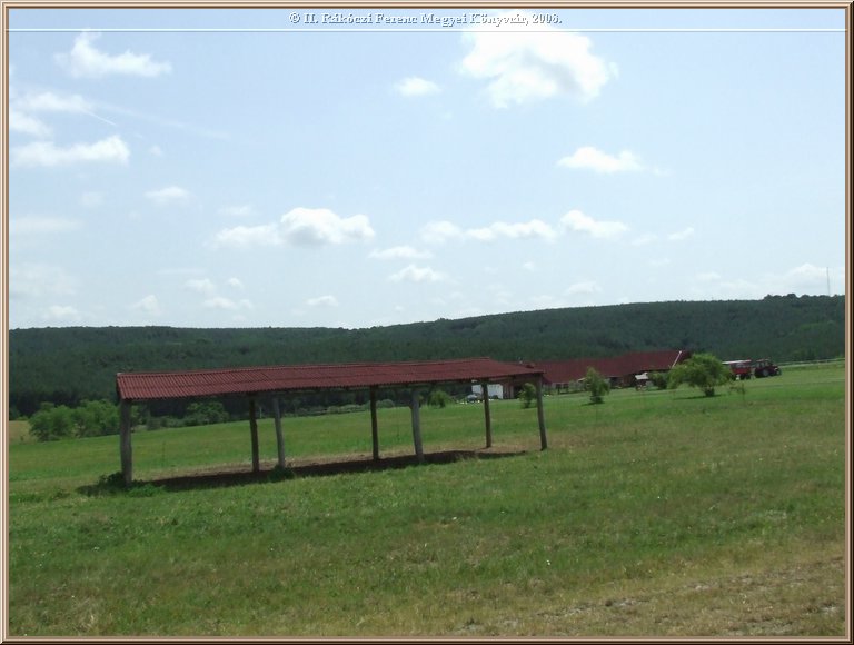 dscf8495.jpg