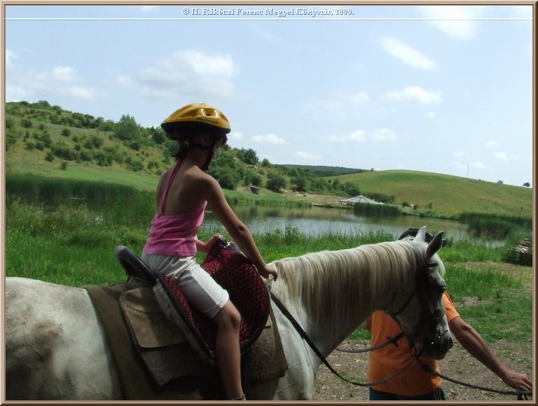 dscf8522.jpg
