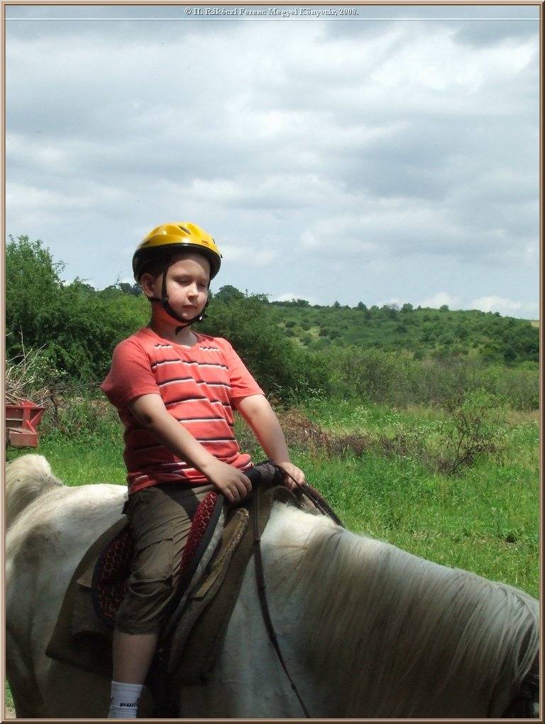 dscf8537.jpg