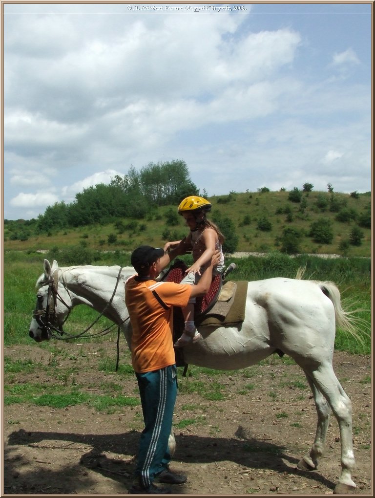 dscf8563.jpg