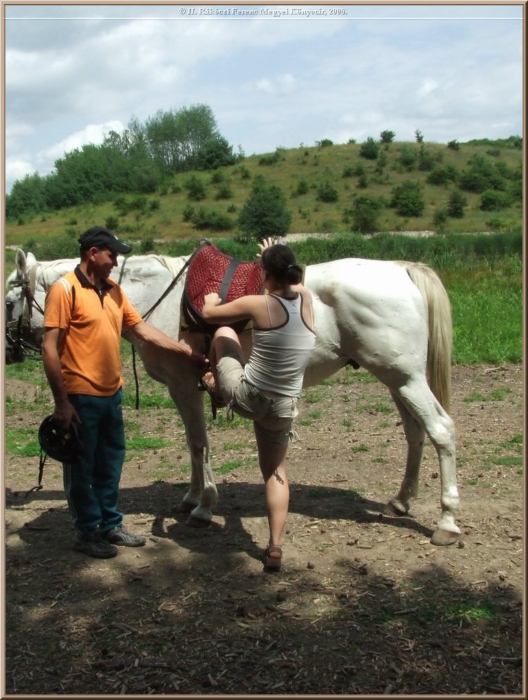 dscf8564.jpg