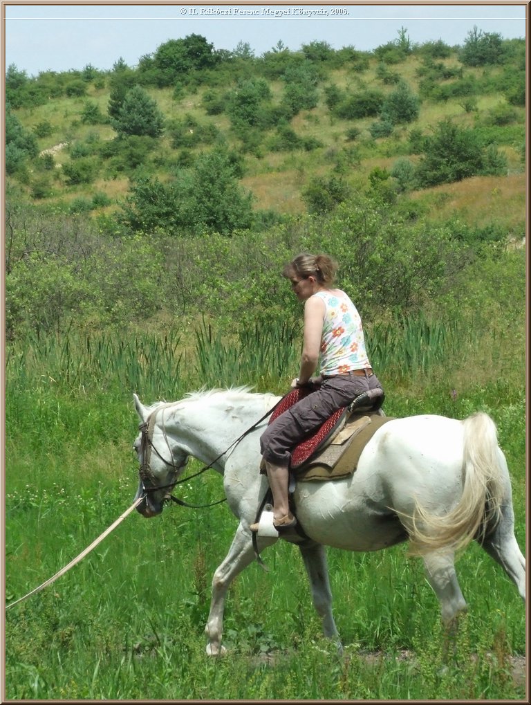 dscf8570.jpg