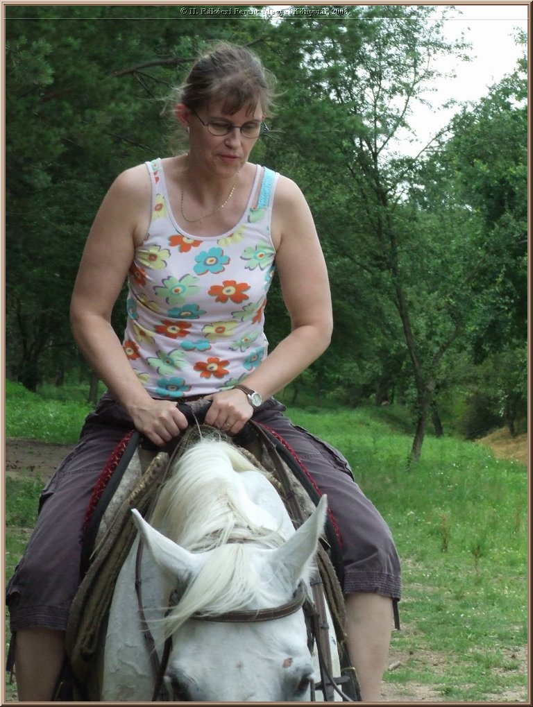 dscf8571.jpg