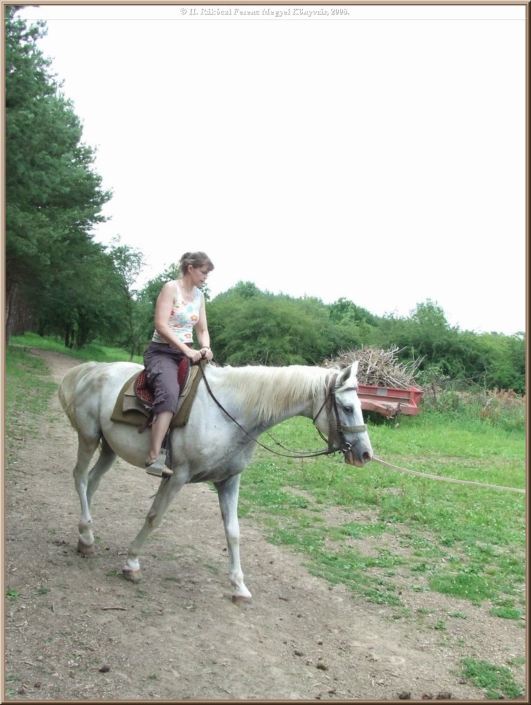 dscf8572.jpg