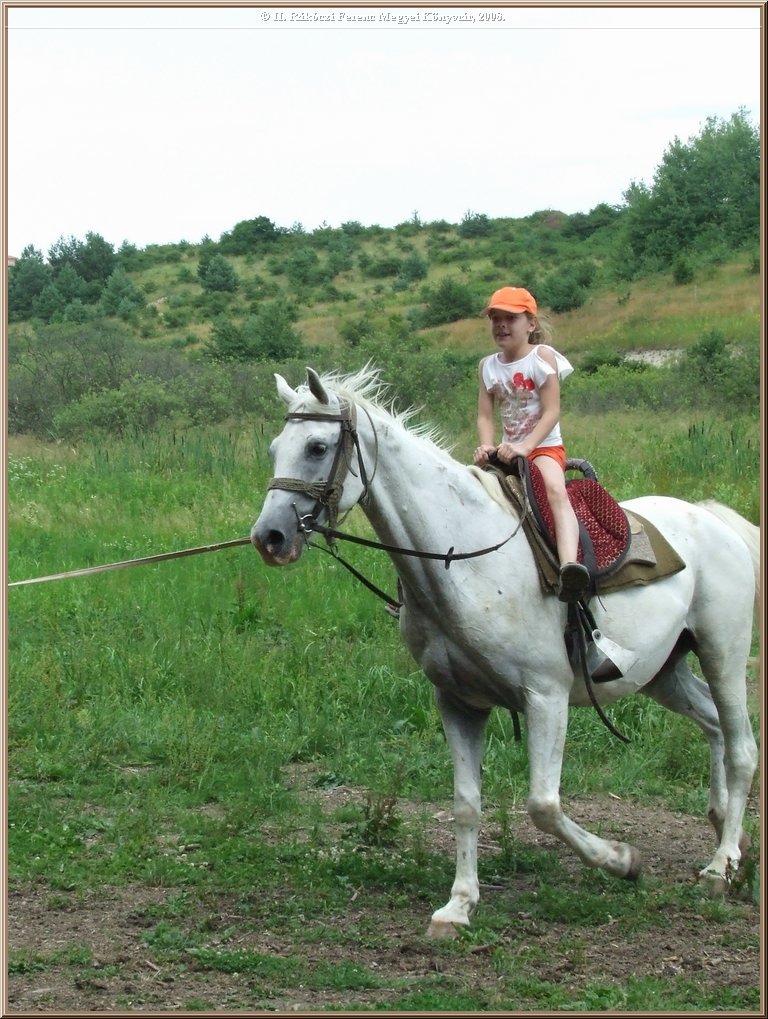 dscf8574.jpg