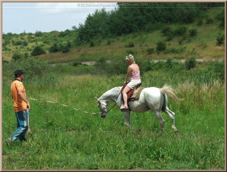 dscf8582.jpg