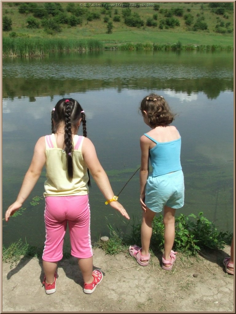 dscf8595.jpg