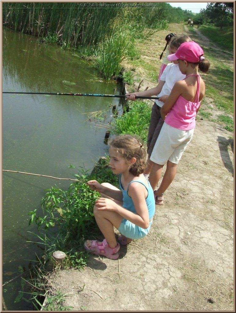 dscf8596.jpg